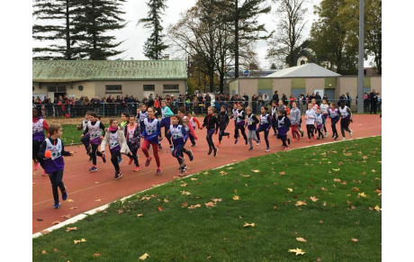 Cross'Athlon : Un succès pour une première !