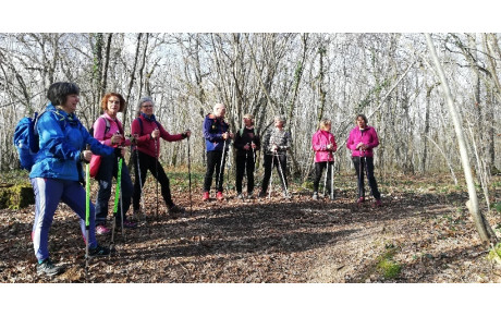 Sortie marche nordique ouverte à tous